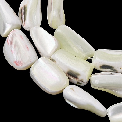 Natural Trochid Shell/Trochus Shell Beads Strands SH-CBA2978-20B-1