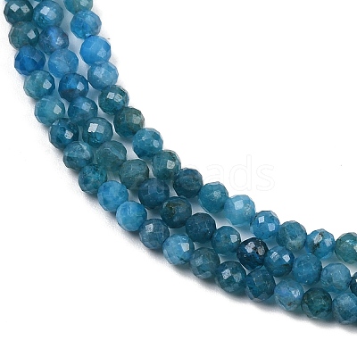 Natural Apatite Beads Strands X-G-E411-36-3mm-01-1