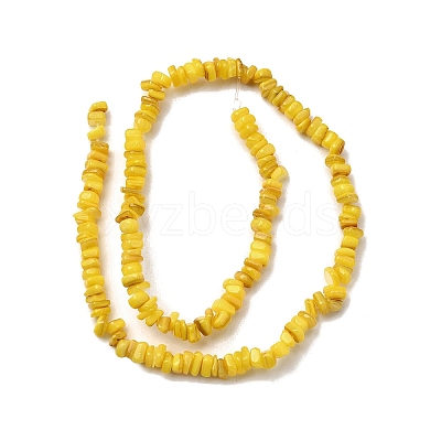 Natural Freshwater Shell Beads SHEL-B003-01A-1