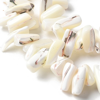 Dyed Natural Trochus Shell Beads Strands SSHEL-C013-09J-1