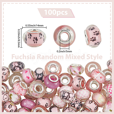 100Pcs Printed Transparent Resin European Beads RESI-PA0001-18B-1