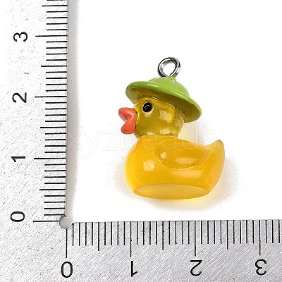 Opaque Resin Pendants FIND-I052-06P-1