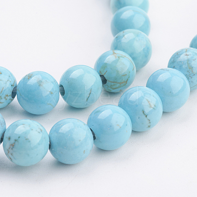 Natural Magnesite Beads Strands TURQ-P027-28-1