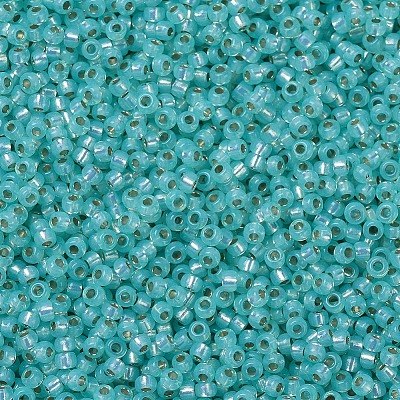 MIYUKI Round Rocailles Beads X-SEED-G007-RR0571-1