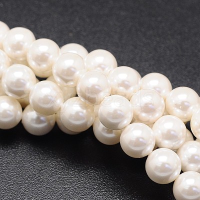 Shell Pearl Beads Strands X-BSHE-E008-4mm-12-1