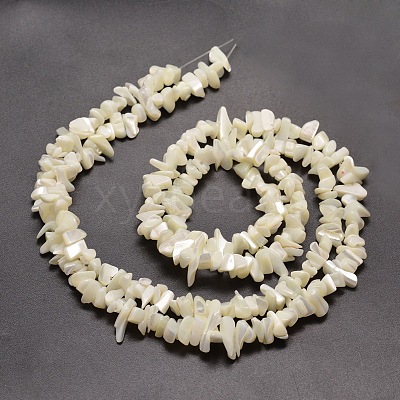 Natural White Mother of Pearl Shell Chip Bead Strands G-M205-63-1