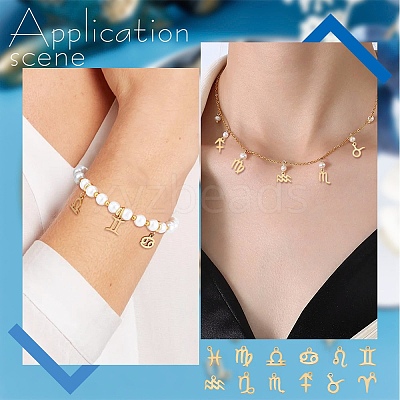 24Pcs 12 Style 12 Constellations Manual Polishing 304 Stainless Steel Charms STAS-SC0004-55-1