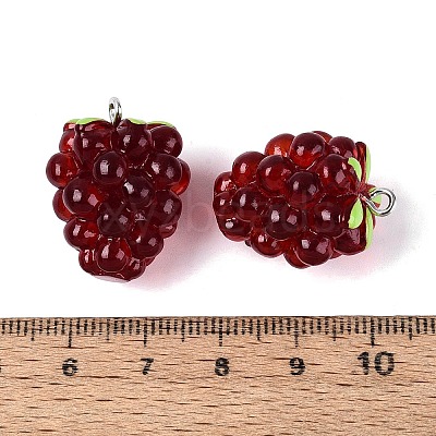 Translucent Resin Pendants RESI-N046-02-1