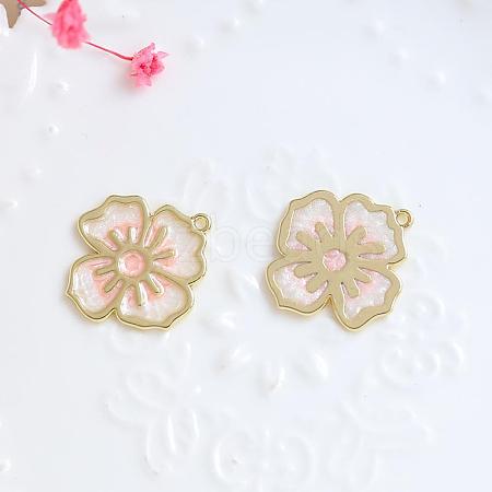 Alloy Enamel Pendants INS-PW0002-06C-01-1