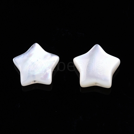 Natural White Shell Beads SSHEL-N032-54B-1