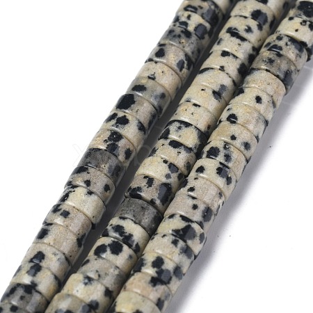 Natural Dalmatian Jasper Beads Strands G-Z006-C17-1