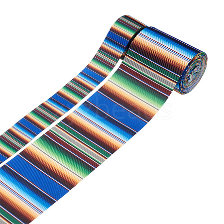 2Rolls 2 Styles Stripe Pattern Printed Polyester Grosgrain Ribbon OCOR-TA0001-37G-1