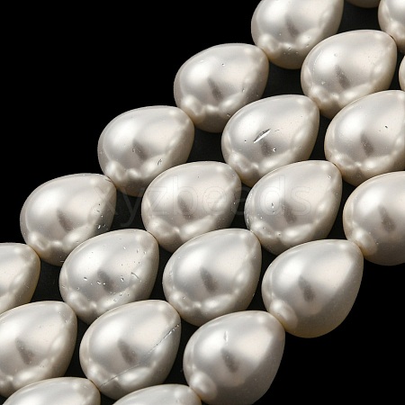 Teardrop Shell Pearl Bead Strands BSHE-L015-12x16-01-1