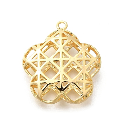 Brass Pendants KK-E792-11G-1