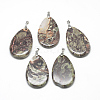 Natural Crazy Agate Pendants G-S250-21-1