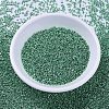 MIYUKI Delica Beads X-SEED-J020-DB0426-2