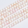 Natural Pink Shell Beads Strands SSHEL-L016-18C-1