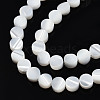 Natural Trochus Shell Beads Strands SSHEL-N034-165-3