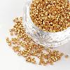 Plated Glass Bugle Beads SEED-R043-09-1