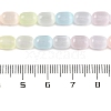 Macaron Color Natural Selenite Beads Strands G-F750-D01-5