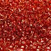 Glass Seed Beads SEED-S042-04A-10-3