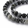 Natural Hawk's Eye Beads Strands G-S333-8mm-034-3