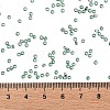 TOHO Round Seed Beads SEED-XTR11-2202-4