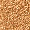 TOHO Round Seed Beads X-SEED-TR11-0984-2