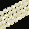 Baking Paint Glass Beads Strands DGLA-N015-8mm-08-1