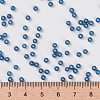 MIYUKI Round Rocailles Beads SEED-G008-RR0648-4