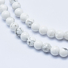 Natural Howlite Beads Strands X-G-P353-01-6mm-3