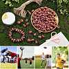 Rugby Beads Bracelet Making Kit DIY-NB0007-48-6