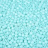 Opaque Baking Paint Glass Seed Beads SEED-T008-02N-3