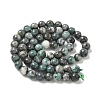 Natural Dioptase Beads Strands G-D302-02-6mm-3