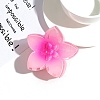 Resin Claw Hair Clips PW-WGFFA57-03-1