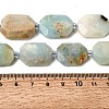 Natural Amazonite Beads Strands G-J373-24G-4