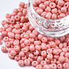 6/0 Glass Seed Beads SEED-S058-A-F413-1