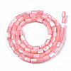 Natural Trochid Shell/Trochus Shell Beads Strands SHEL-N003-26-B05-2