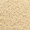TOHO Round Seed Beads X-SEED-TR11-0123-2