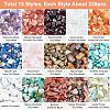  3500Pcs 15 Style Natural & Synthetic Mixed Gemstone Beads G-NB0003-09-4