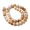 Natural Crazy Lace Agate Beads Strands G-H298-A12-04-3