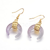 Natural Amethyst Dangle Earrings EJEW-L189-C09-G-1