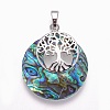 Natural Paua Shell Pendants G-F573-D04-2