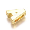 Alloy Slide Charms PALLOY-WH0069-02A-G-2