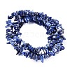 Natural Sodalite Chips Beads Strands F024-3