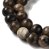 Natural Chiastolite Beads Strands G-Q161-A03-03-4