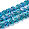 Transparent Glass Beads GLAA-Q066-14mm-C17-1
