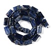 Natural Sodalite Beads Strands G-M403-B34-03-3