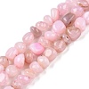 Natural Agate Beads Strands G-N342-65E-1