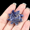 Natural Sodalite Carved Figurines PW-WG6FEC7-11-1